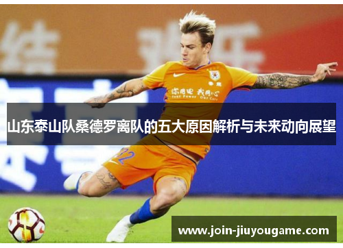 山东泰山队桑德罗离队的五大原因解析与未来动向展望